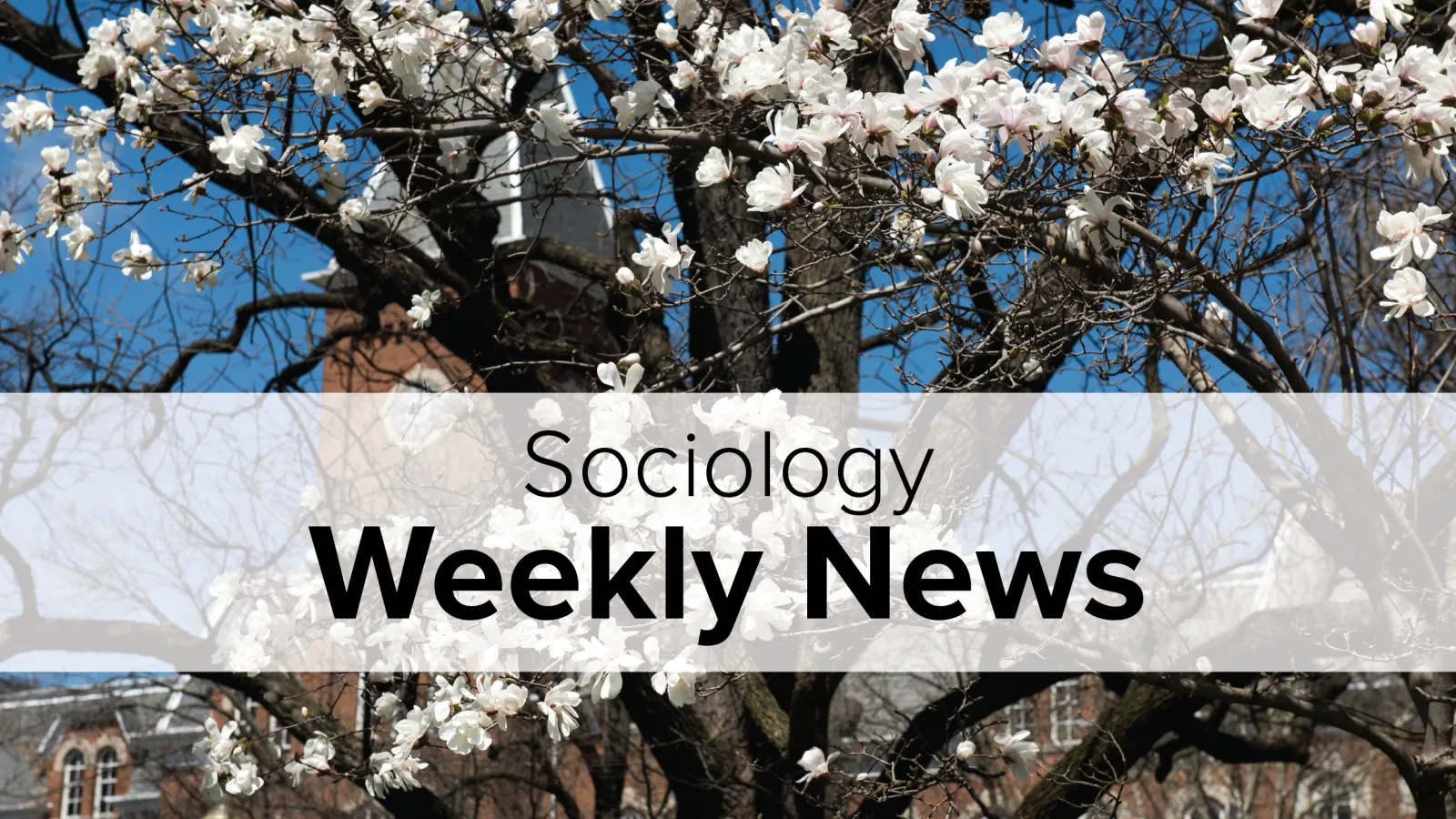 Sociology Weekly News