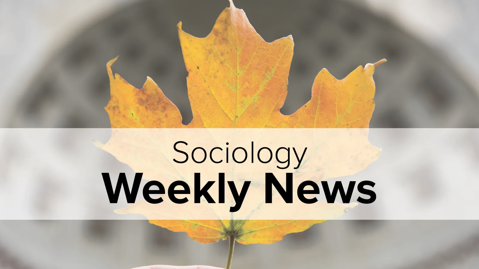 Leaf in front of Ohio Stadium's Rotunda with Title Sociology Weekly News