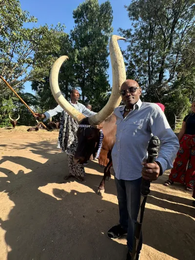Sidney Williams with cattle in Rwanda